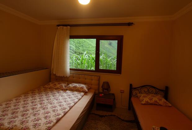 Yeşil Doğa Apart - Görsel 4