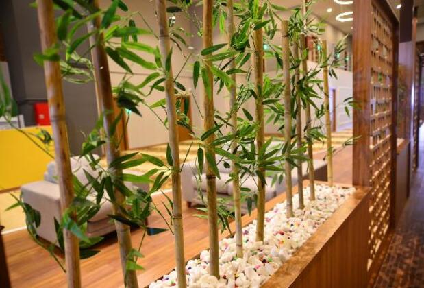 Privado Hotels - Görsel 21