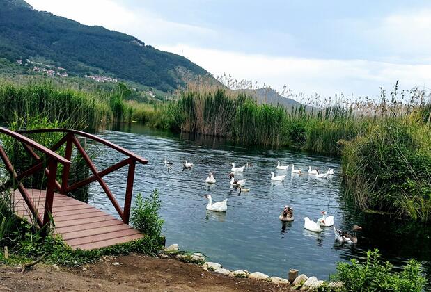 Şenol Apart - Görsel 5