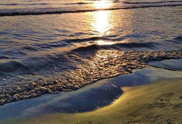 Şenol Apart - Görsel 16