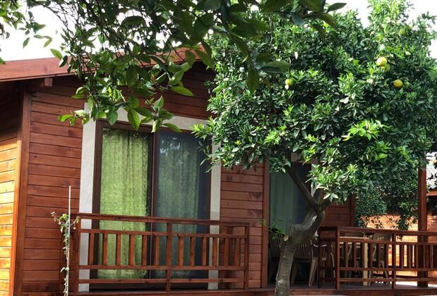 Çıralı Villas 2 - Görsel 13