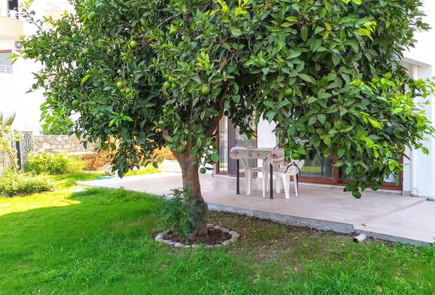 Ertem Apart - Görsel 5