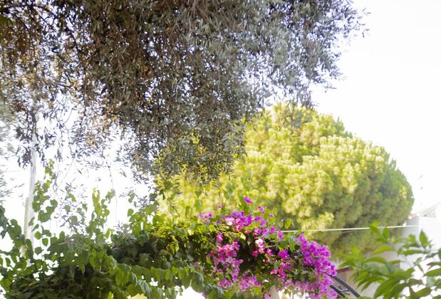 Pharos Boutique Hotel - Görsel 17