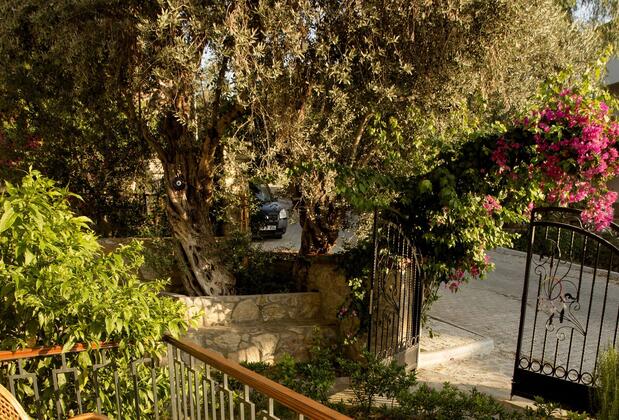 Pharos Boutique Hotel - Görsel 25