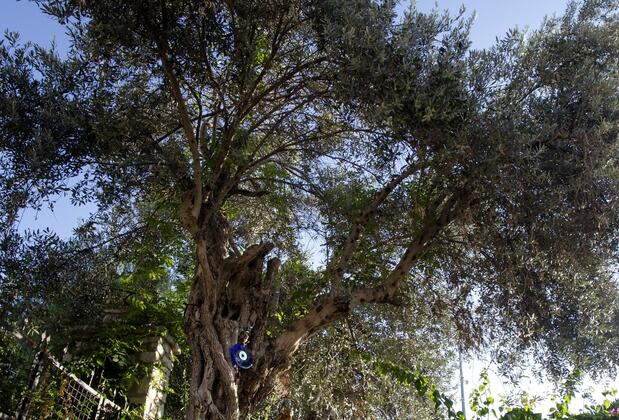 Pharos Boutique Hotel - Görsel 26