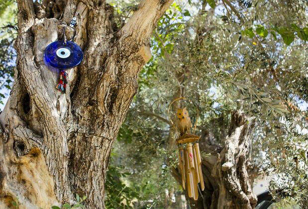 Pharos Boutique Hotel - Görsel 27