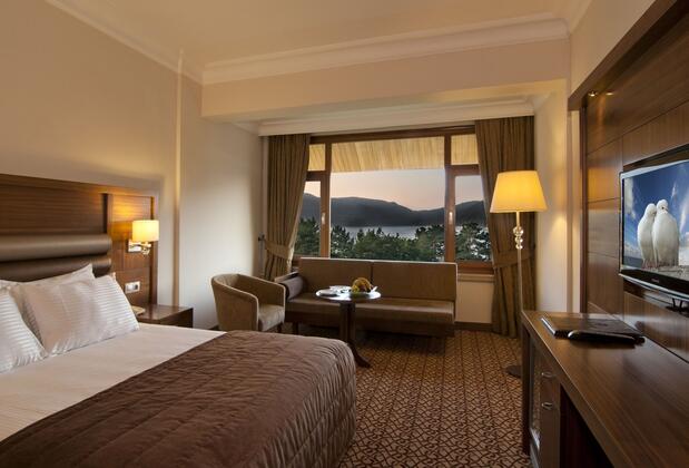 Büyük Abant Oteli - Görsel 9