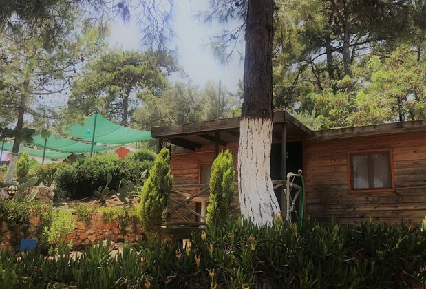 Azmakbaşı Camping - Görsel 3