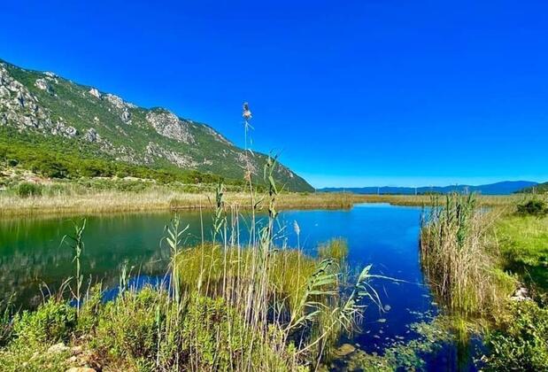 Azmakbaşı Camping - Görsel 4