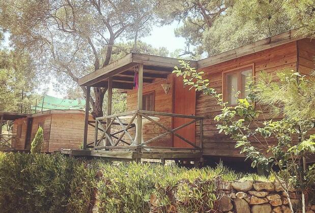 Azmakbaşı Camping - Görsel 6