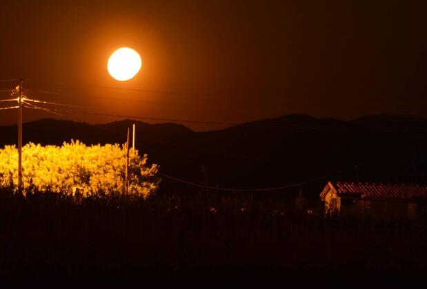 Azmakbaşı Camping - Görsel 24