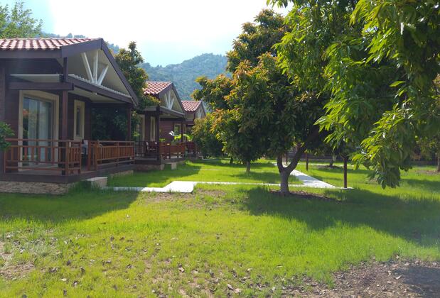 Apella Hotel Çıralı  - Görsel 10