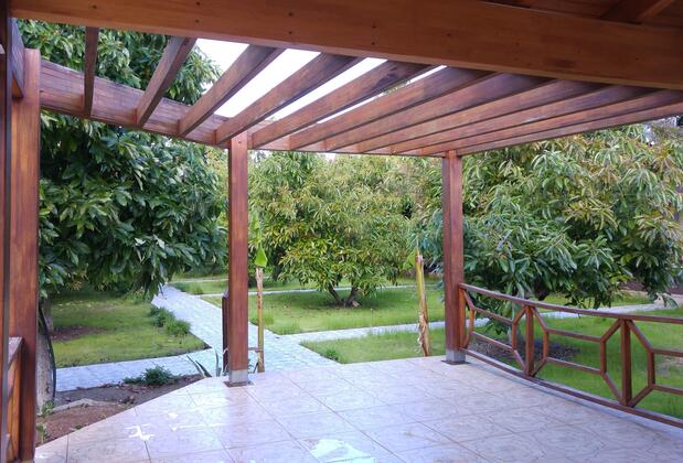 Apella Hotel Çıralı  - Görsel 13