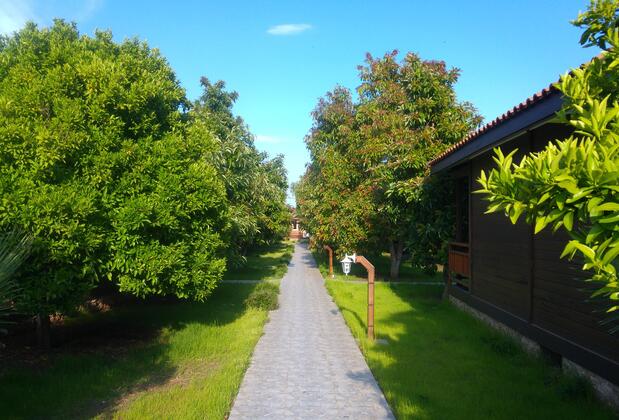 Apella Hotel Çıralı  - Görsel 12