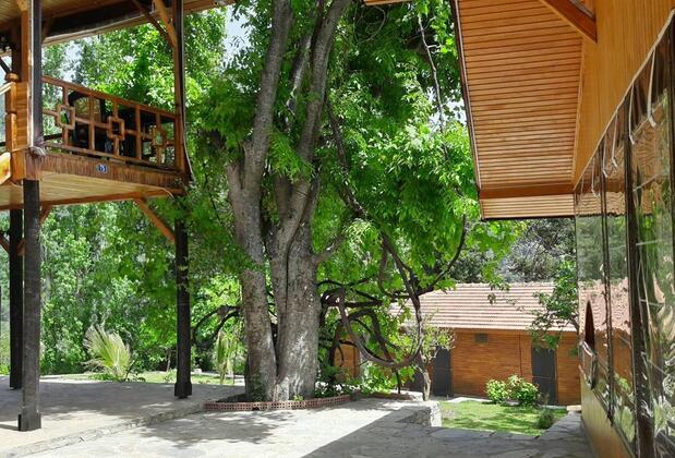 Lycia Nature House - Görsel 5