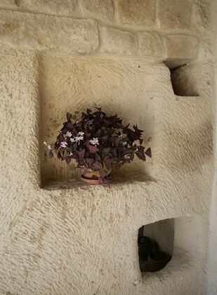 Serinn House - Görsel 6