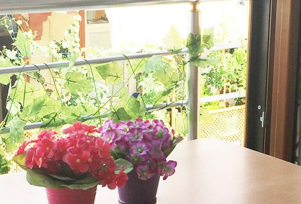 Avşa Belgin Konukevi - Görsel 17