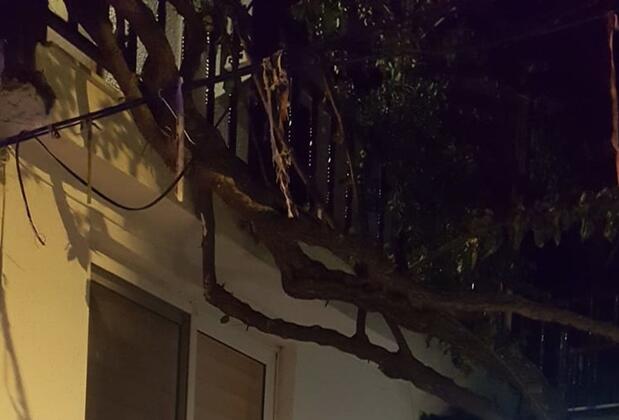 Mughetto Butik Otel & Cafe - Görsel 3