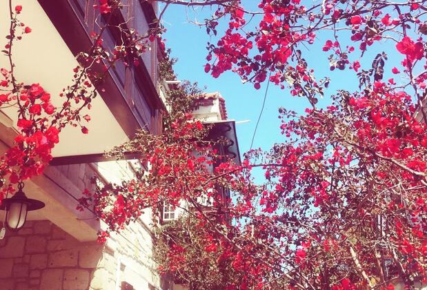 Alayaz Otel - Görsel 2