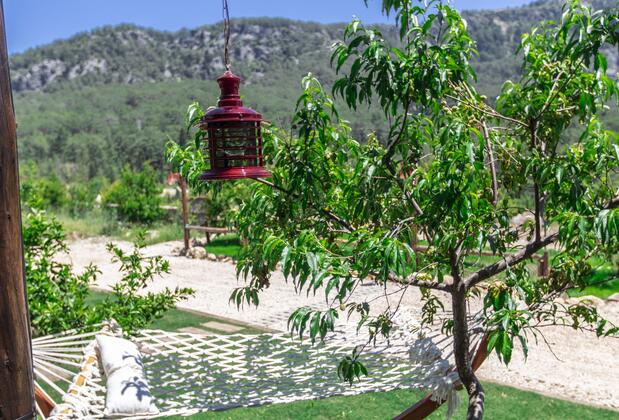 Hotel Casa De Padre - Görsel 9