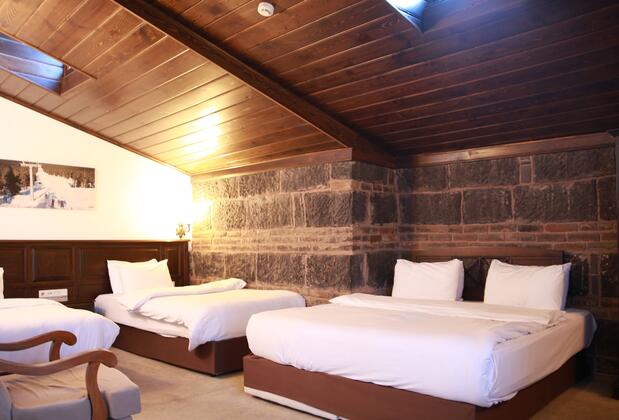 Hotel Cheltikov - Görsel 3