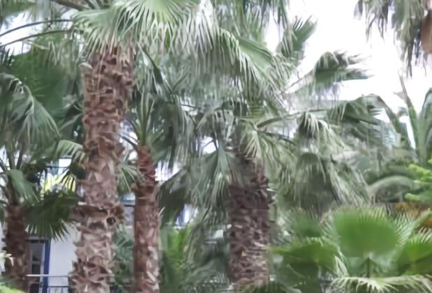 Sami Beach Hotel - Görsel 25