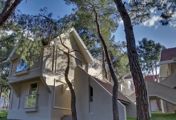 Long Beach Club Nature - Görsel 13