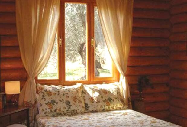 Carpe Diem Bungalow Hotel - Görsel 7