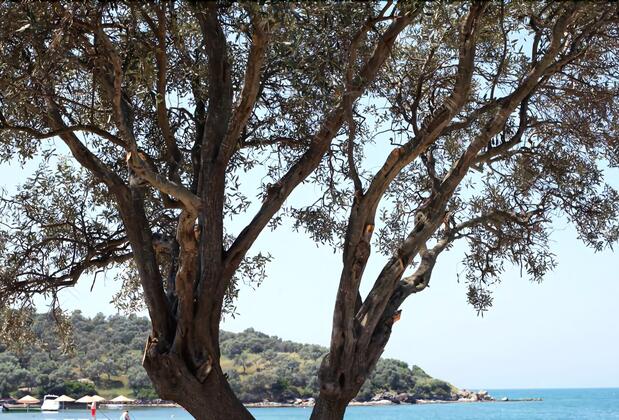 Med-Inn Butik Otel - Görsel 6