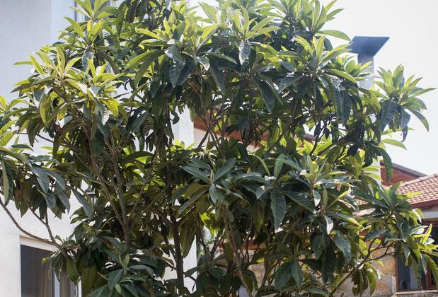 Hydas Pansiyon - Görsel 5