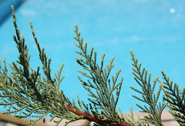 Rukim Otel - Görsel 7