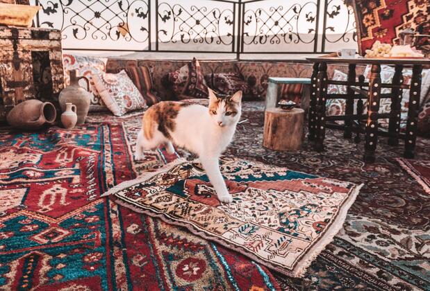 Osmanlı Cappadocia Hotel - Görsel 12