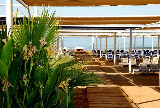 Dream Family Club - Görsel 20