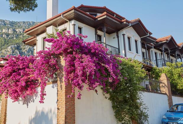 Mercan Apart Otel Akyaka - Görsel 3