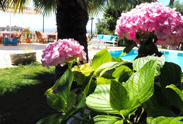 Villa Panorama Selçuk - Görsel 8