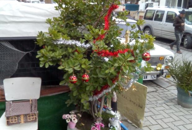 Altın Pansiyon - Görsel 15