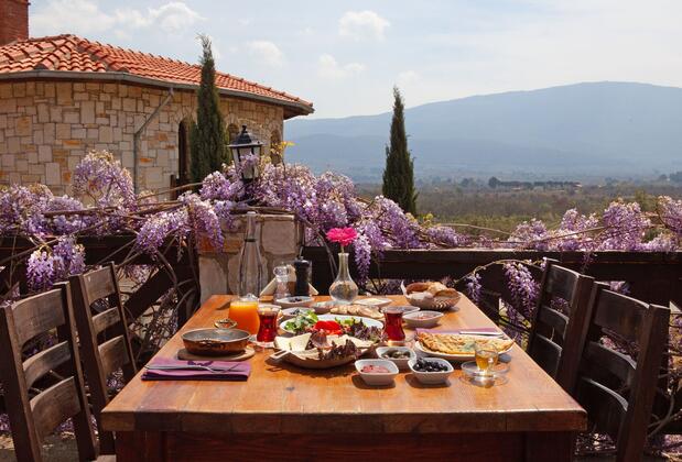 Vinifera Hotel Yedi Bilgeler Vineyards - Görsel 29