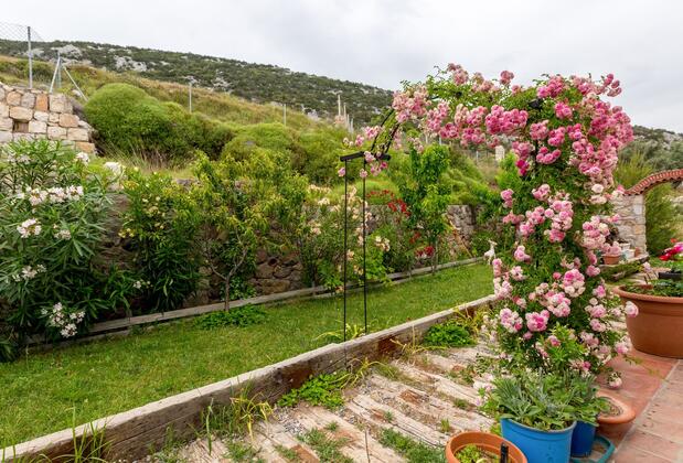 Mavi Keçi Otel - Görsel 4