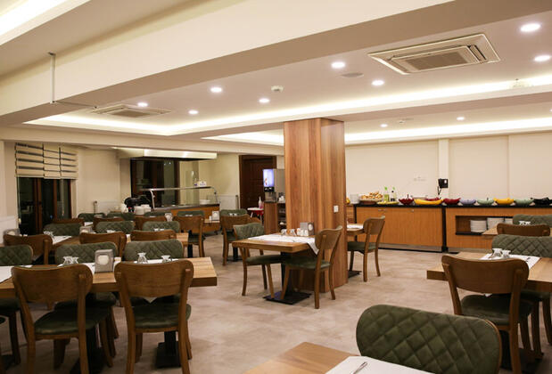 Oylat Kaplıcaları Orman Otel - Görsel 5