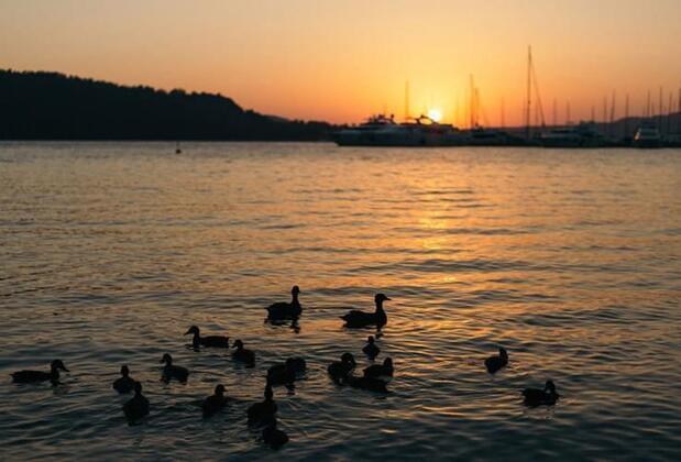 Baraka Hisarönü - Görsel 18