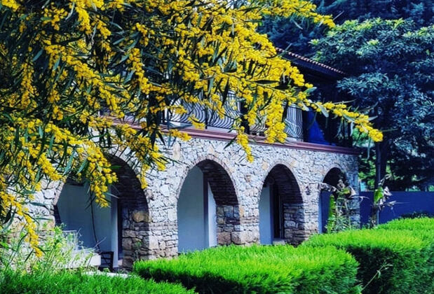 Alados Otel - Görsel 5