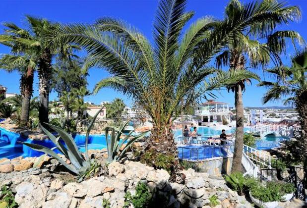 Phoenix Sun Bodrum - Görsel 4