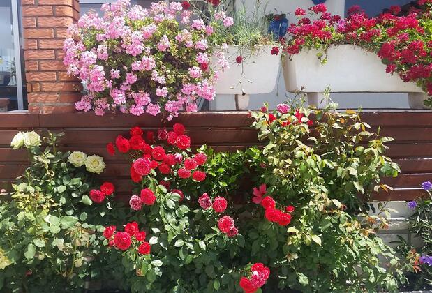 Urla Yelken Otel - Görsel 5