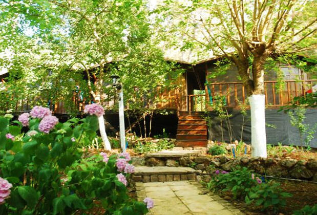 Altaris Pansiyon Olympos - Görsel 7