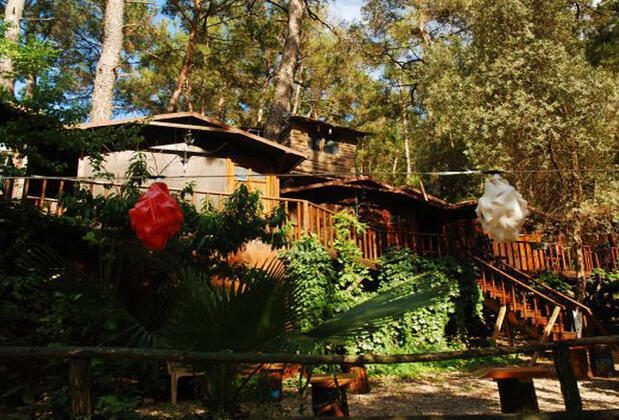 Altaris Pansiyon Olympos - Görsel 3