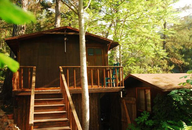 Altaris Pansiyon Olympos - Görsel 6