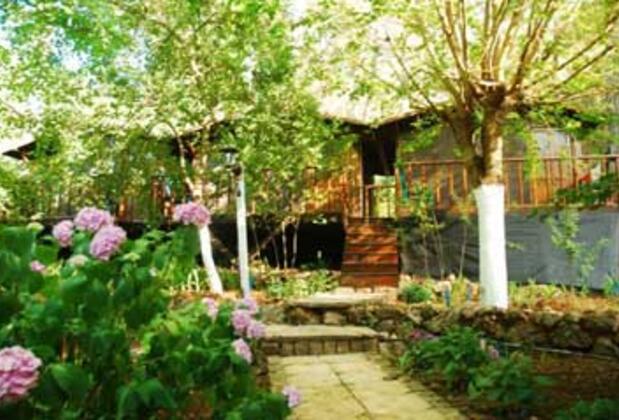 Altaris Pansiyon Olympos - Görsel 9