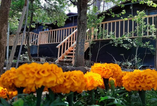 Altaris Pansiyon Olympos - Görsel 8