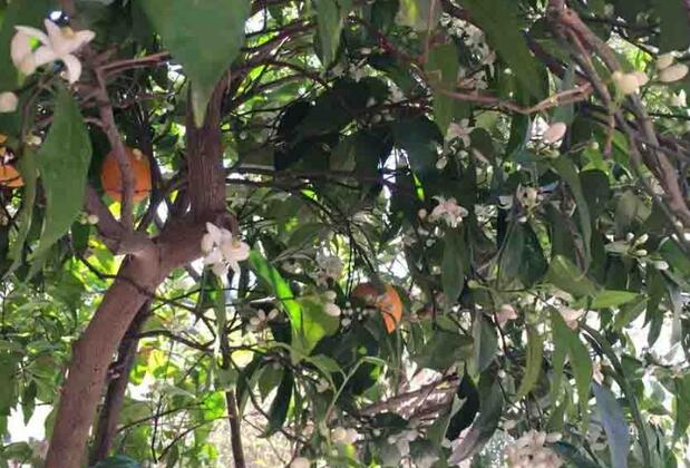 Funda Pansiyon  - Görsel 7