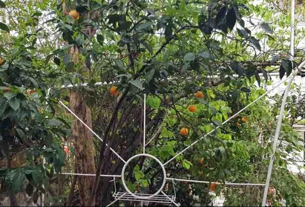 Funda Pansiyon  - Görsel 11